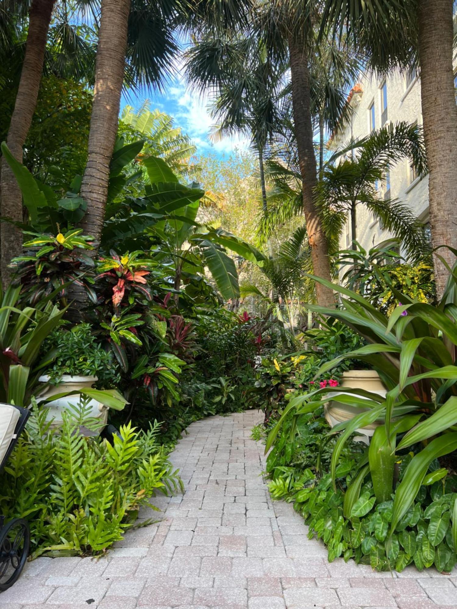 Orchid Suites - Historic Palm Beach Hotel Condominium エクステリア 写真
