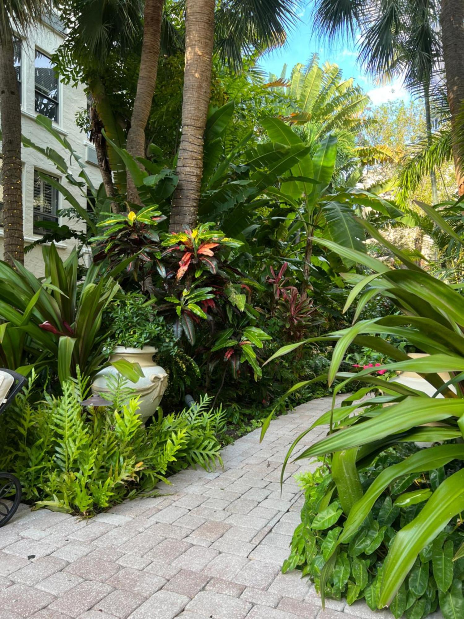 Orchid Suites - Historic Palm Beach Hotel Condominium エクステリア 写真