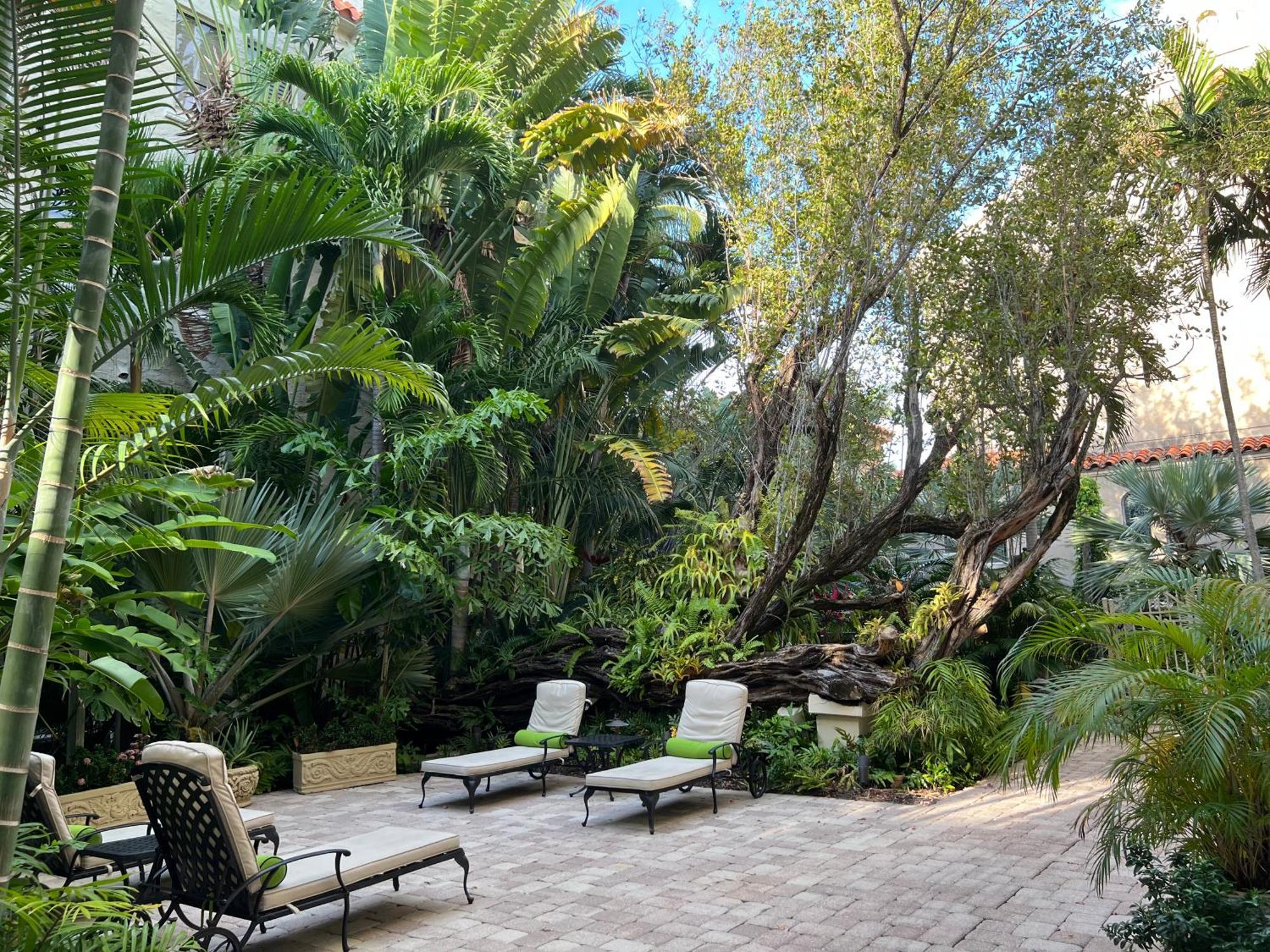 Orchid Suites - Historic Palm Beach Hotel Condominium エクステリア 写真